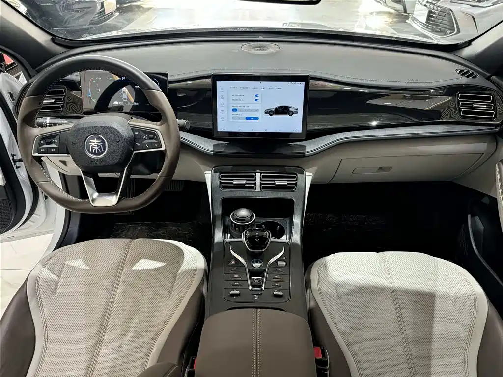 BYD Qin PLUS 2024 — фото 13