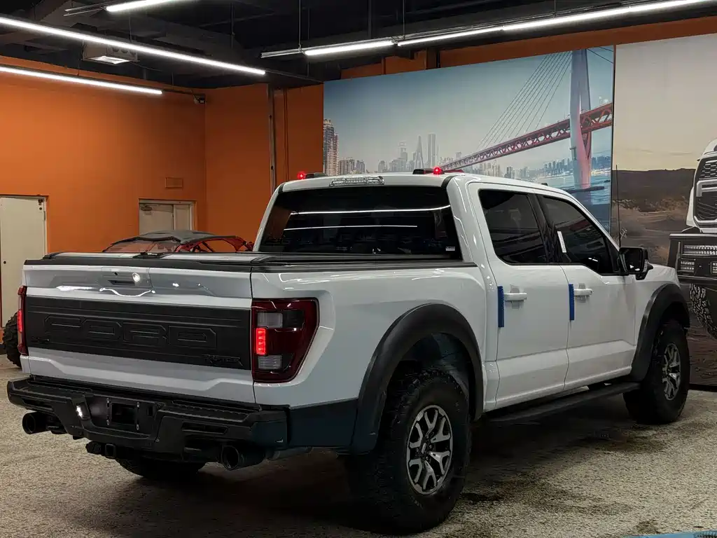 Ford F-150 Raptor 2024 — фото 9