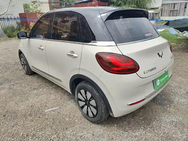 Wuling Bingo 2024