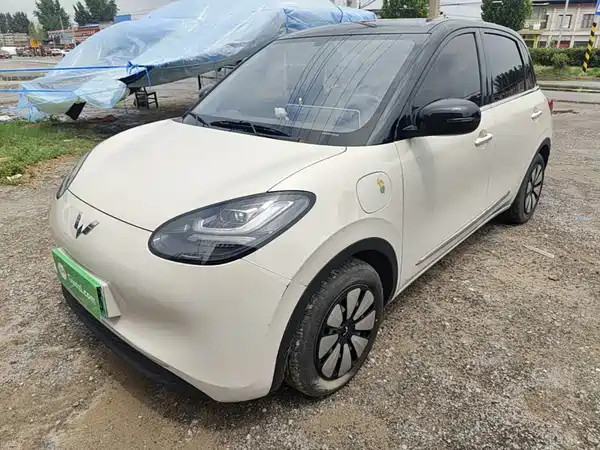 Wuling Bingo 2024