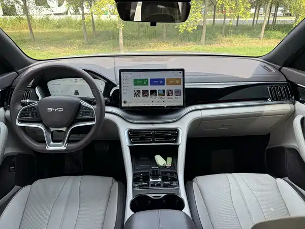 BYD Song PLUS New Energy 2024