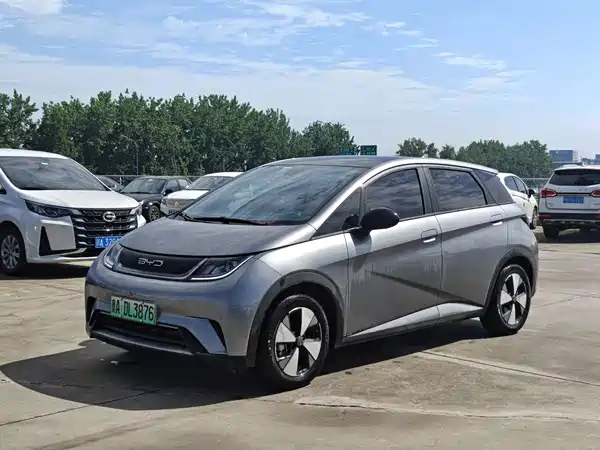 BYD Dolphin 2024