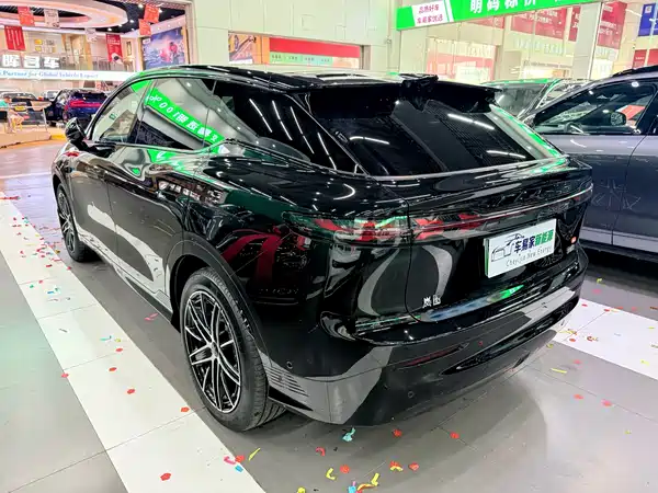 Voyah Zhiyin 2025