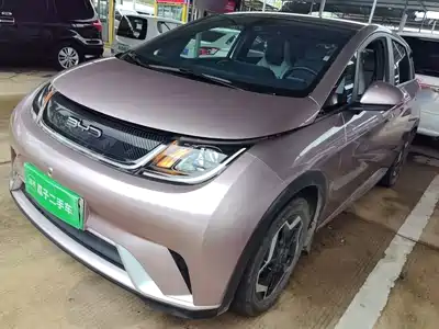 BYD Dolphin 2022