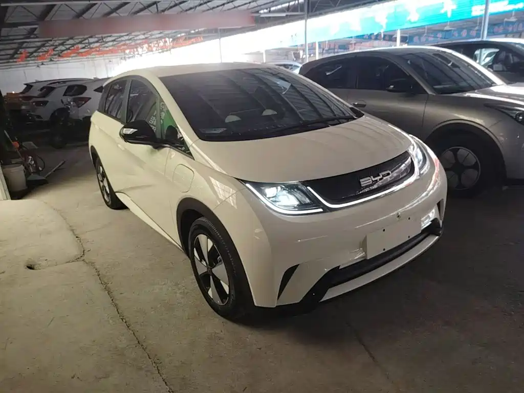 BYD Dolphin 2024