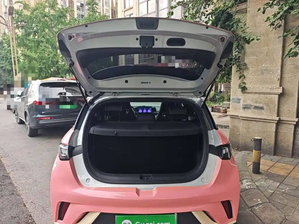 BYD Dolphin 2021 — фото 19