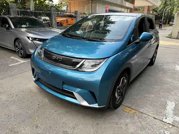 BYD Dolphin 2022
