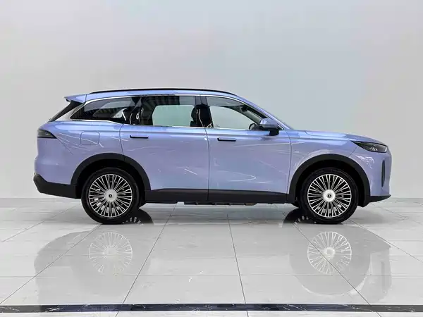 Chery Fengyun T9 2024