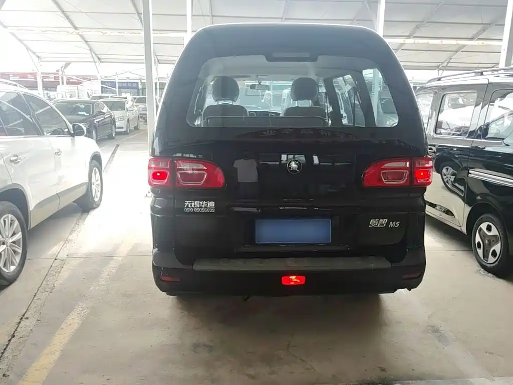 Fengxing Lingzhi 2024