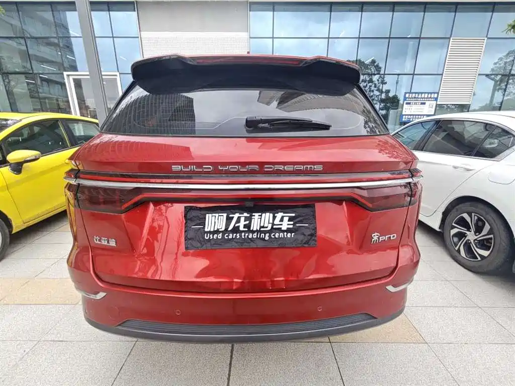 BYD Pro New Energy 2020 — фото 8