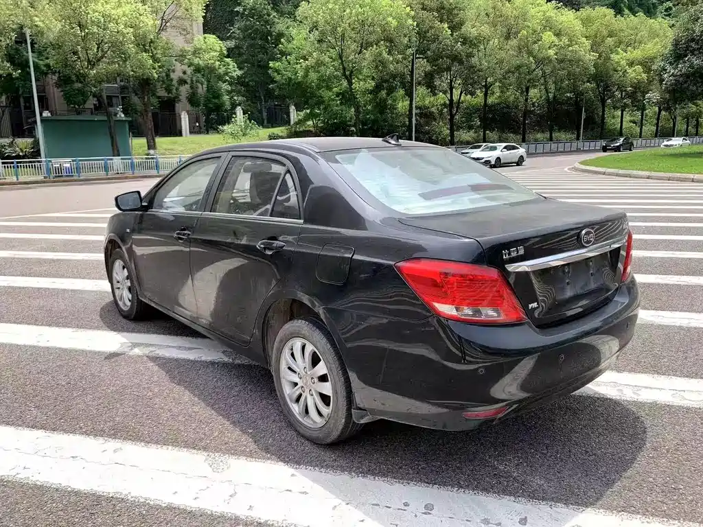 BYD Surui 2014