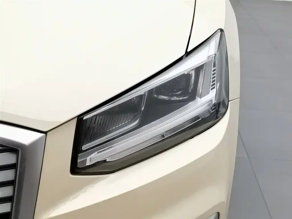 Audi Q2L E-Tron 2021