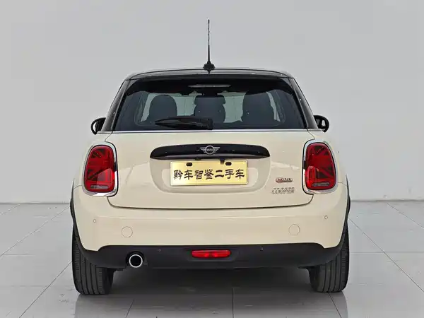 MINI 2019