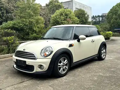 MINI MINI 2013