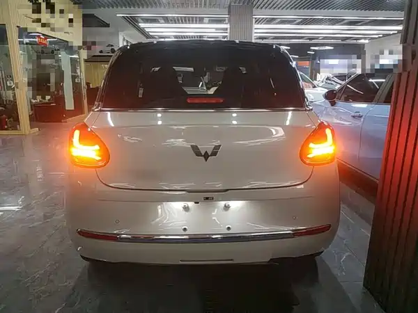 Wuling Bingo 2024