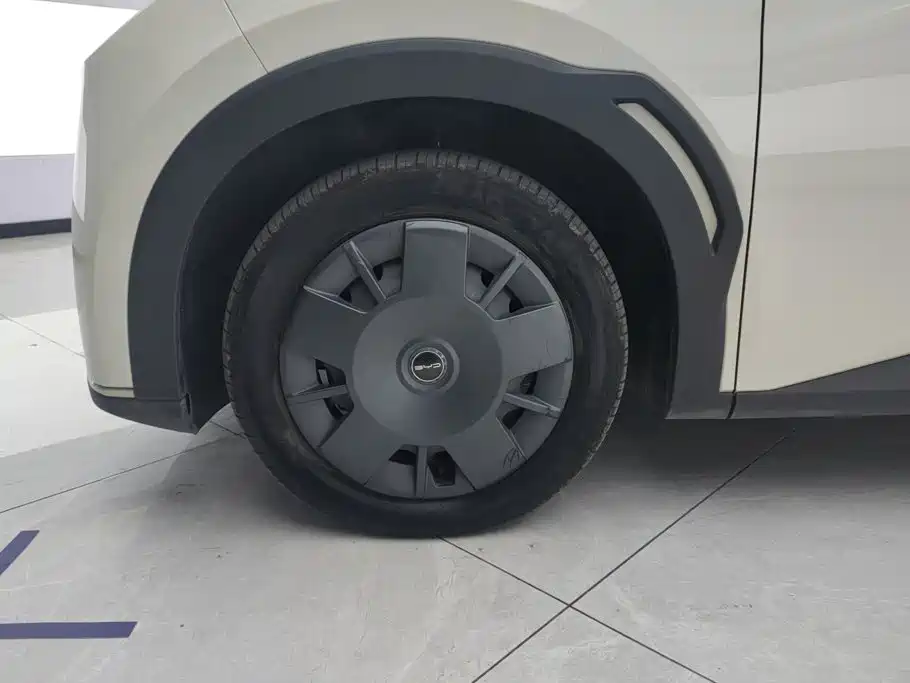 BYD Seagull 2024