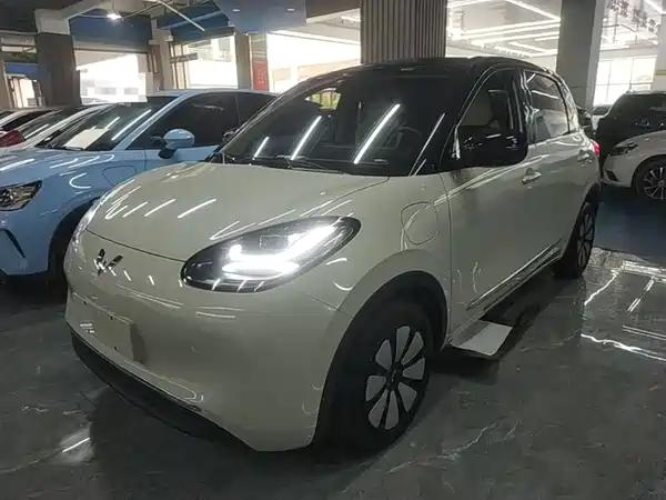 Wuling Bingo 2024