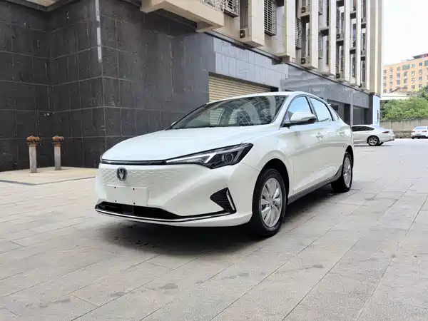 Changan Yidong New Energy 2022