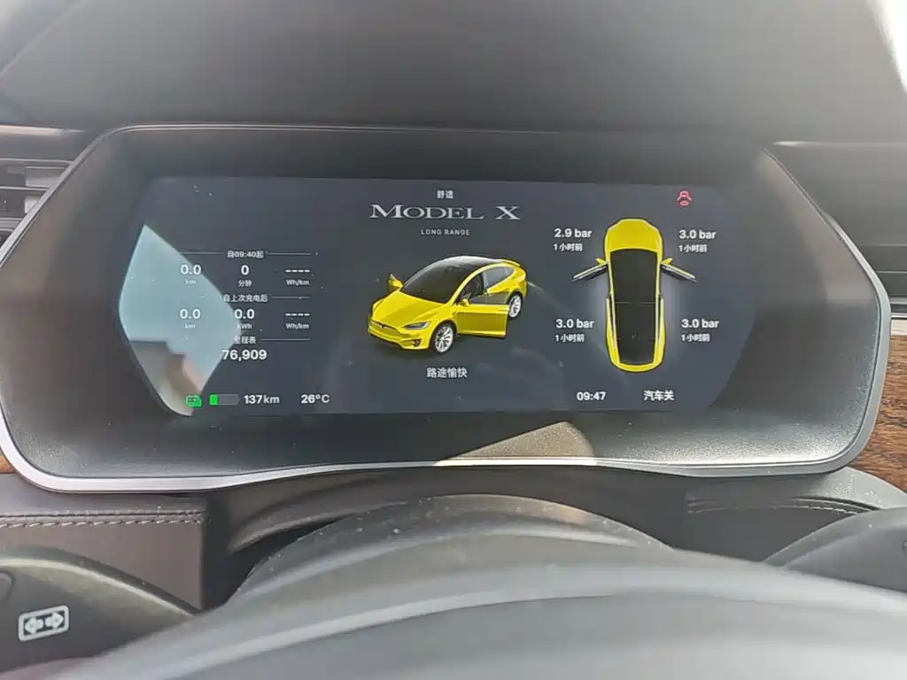 Tesla Model X 2020 — фото 12