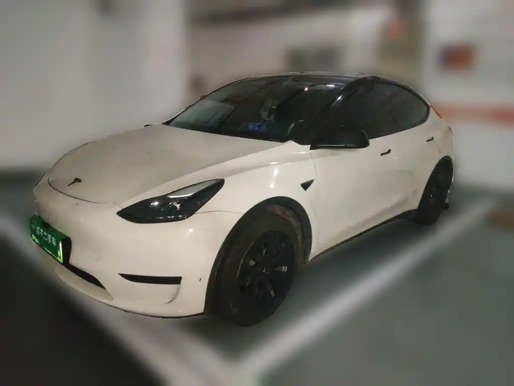 Tesla Model Y 2023 — фото 2