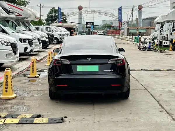 Tesla Model 3 2020