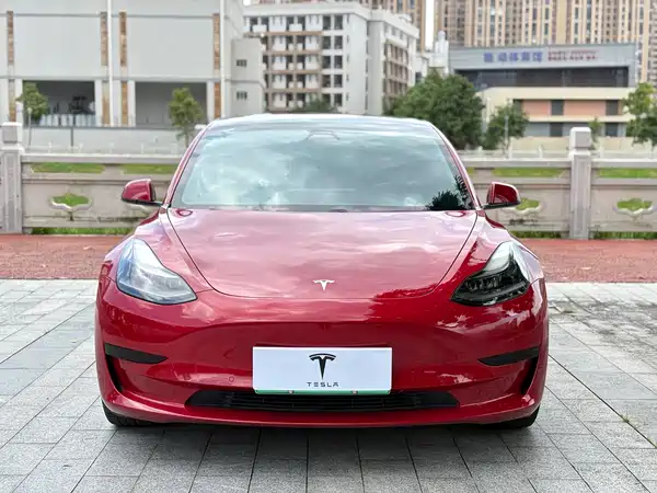 Tesla Model 3 2021