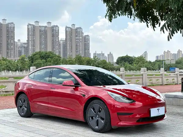 Tesla Model 3 2021