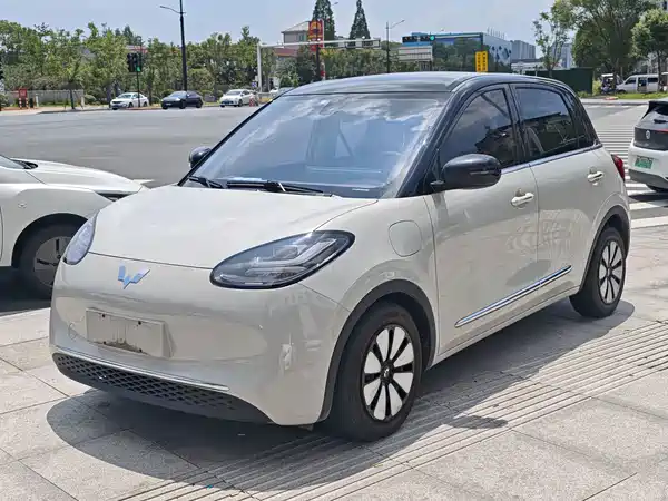 Wuling Bingo 2023