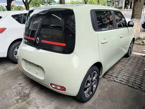 Ora White Cat 2021