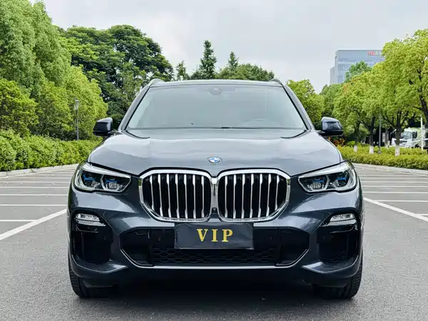 BMW X5 2022