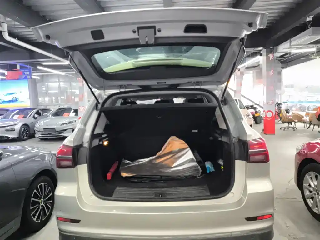 Roewe RX5 New Energy 2020 — фото 19