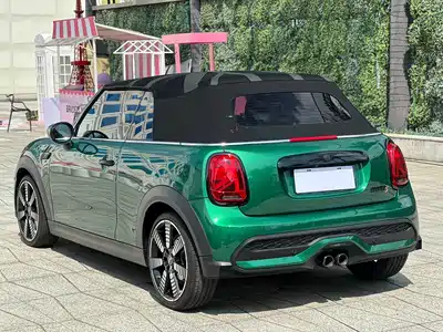 MINI MINI 2024
