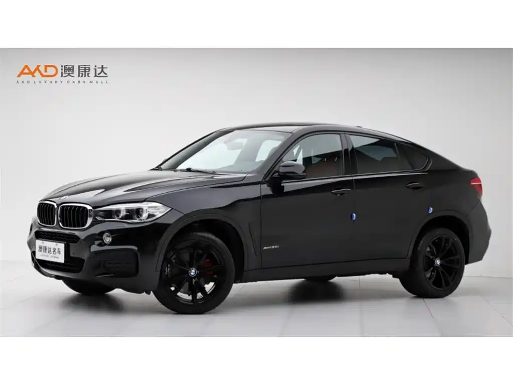 BMW X6 2019