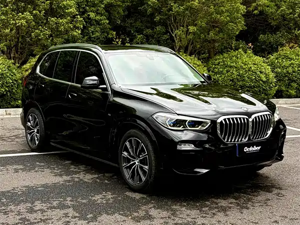 BMW X5 2019
