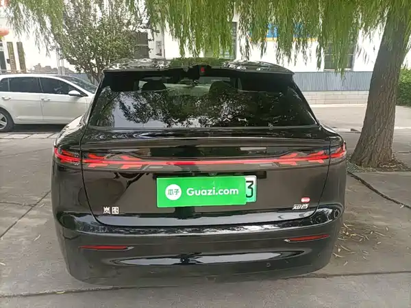 Voyah Zhiyin 2025