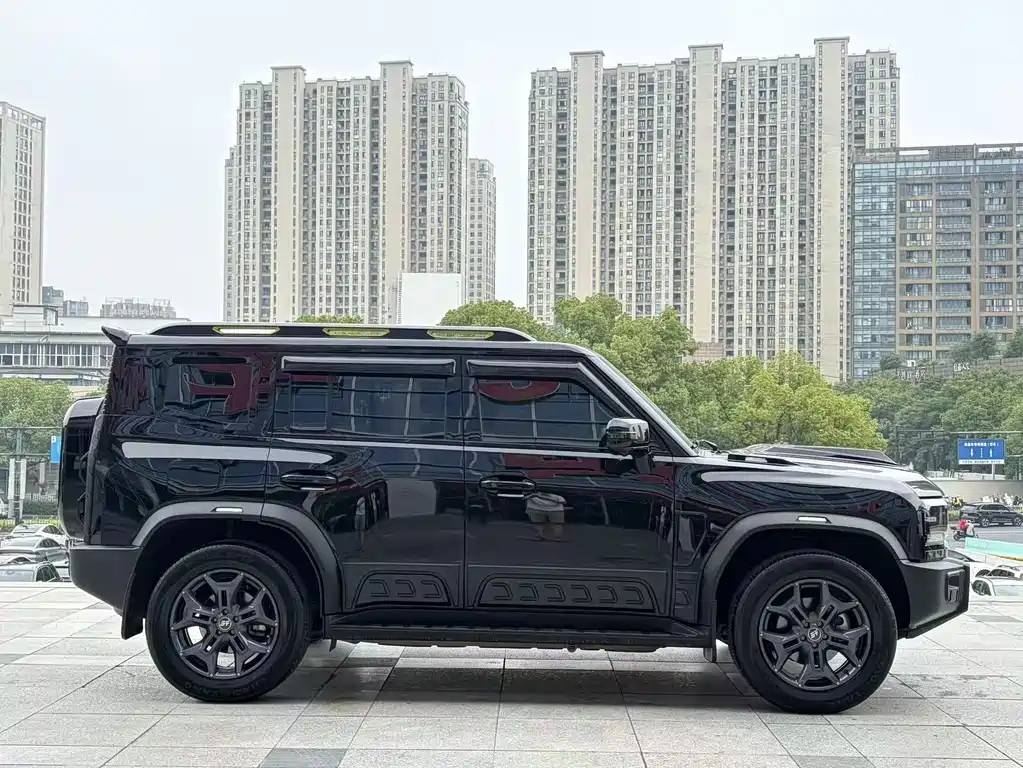 Shanhai Traveller C-DM 2024 — фото 4