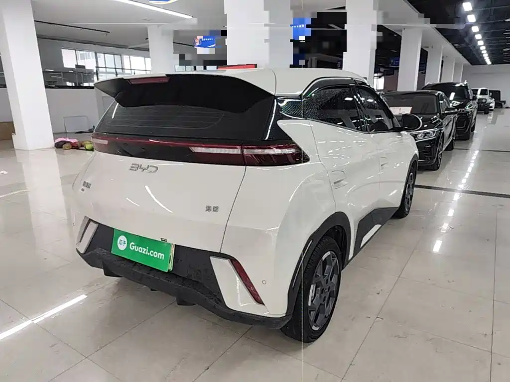 BYD Seagull 2025