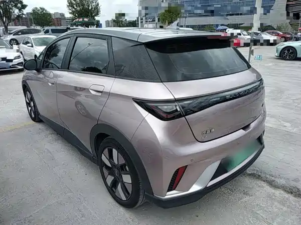BYD Dolphin 2021