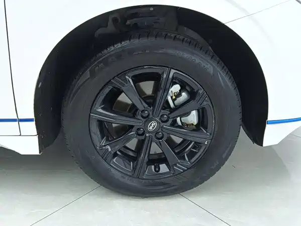 BYD e2 2021