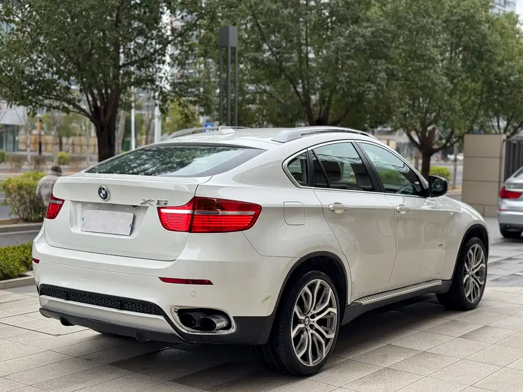 BMW X6 2010 — фото 15