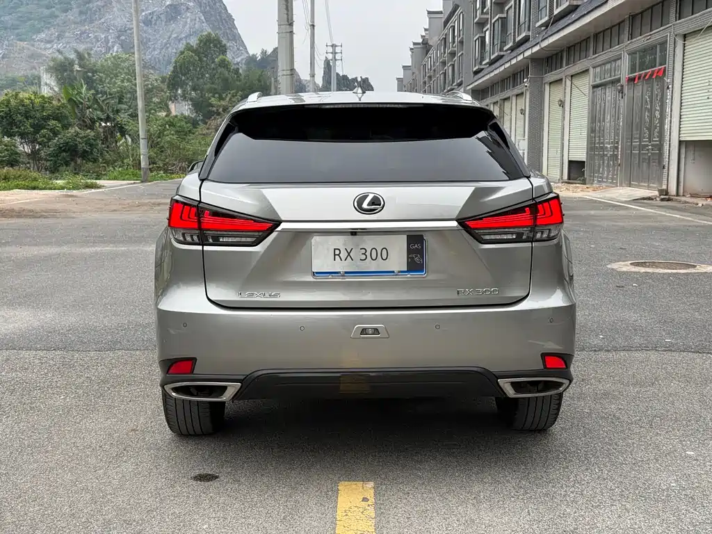 Lexus RX 2022 — фото 14