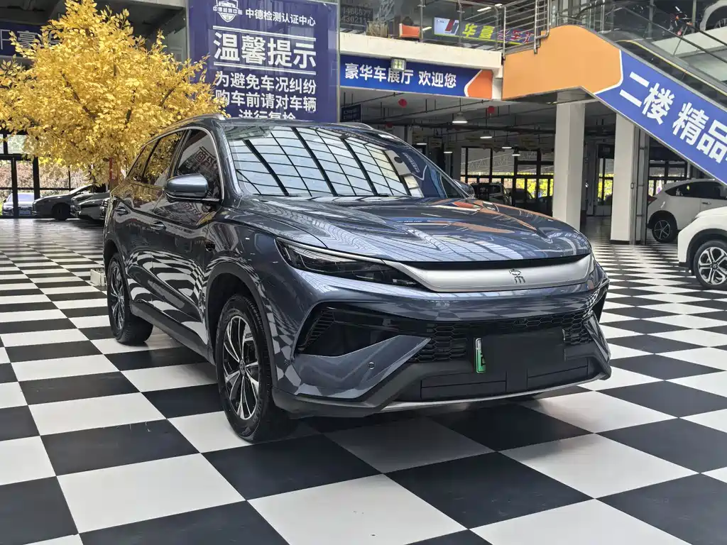 BYD Pro New Energy 2025 — фото 3