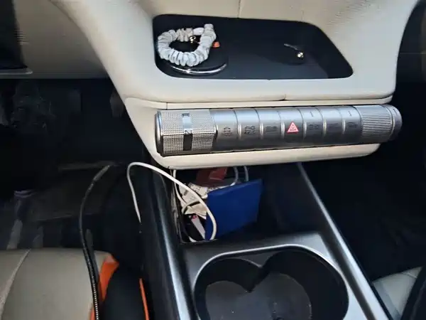 BYD Dolphin 2021