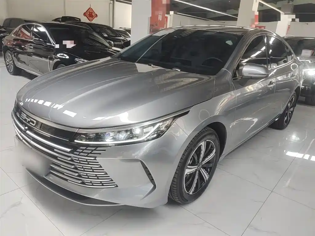 BYD Destroyer 05 2024 — фото 2