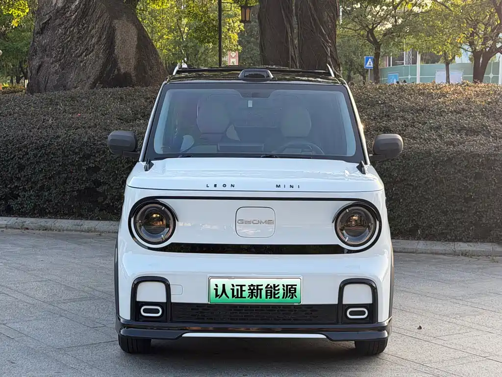 Geely Galaxy Panda 2024