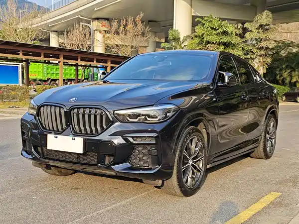 BMW X6 2022