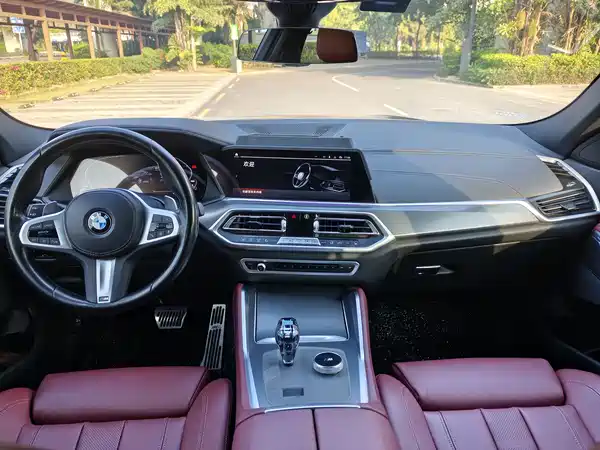 BMW X6 2022