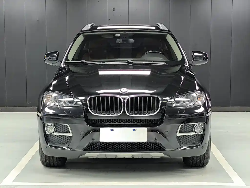 BMW X6 2010 — фото 2