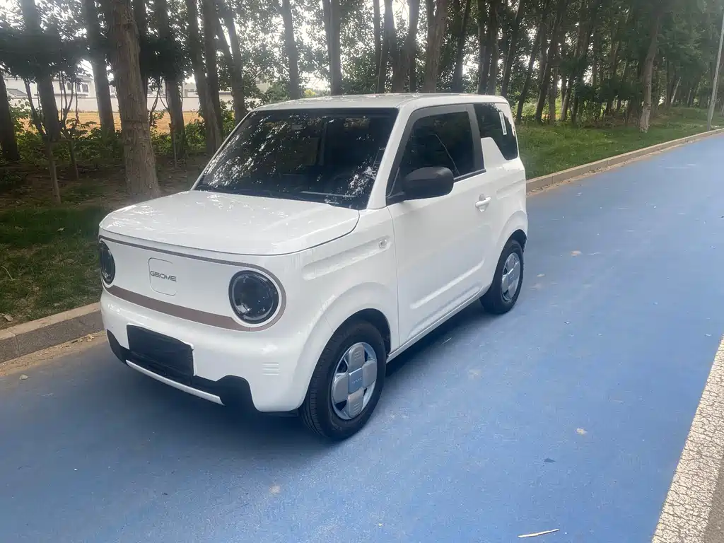Galaxy Panda 2024