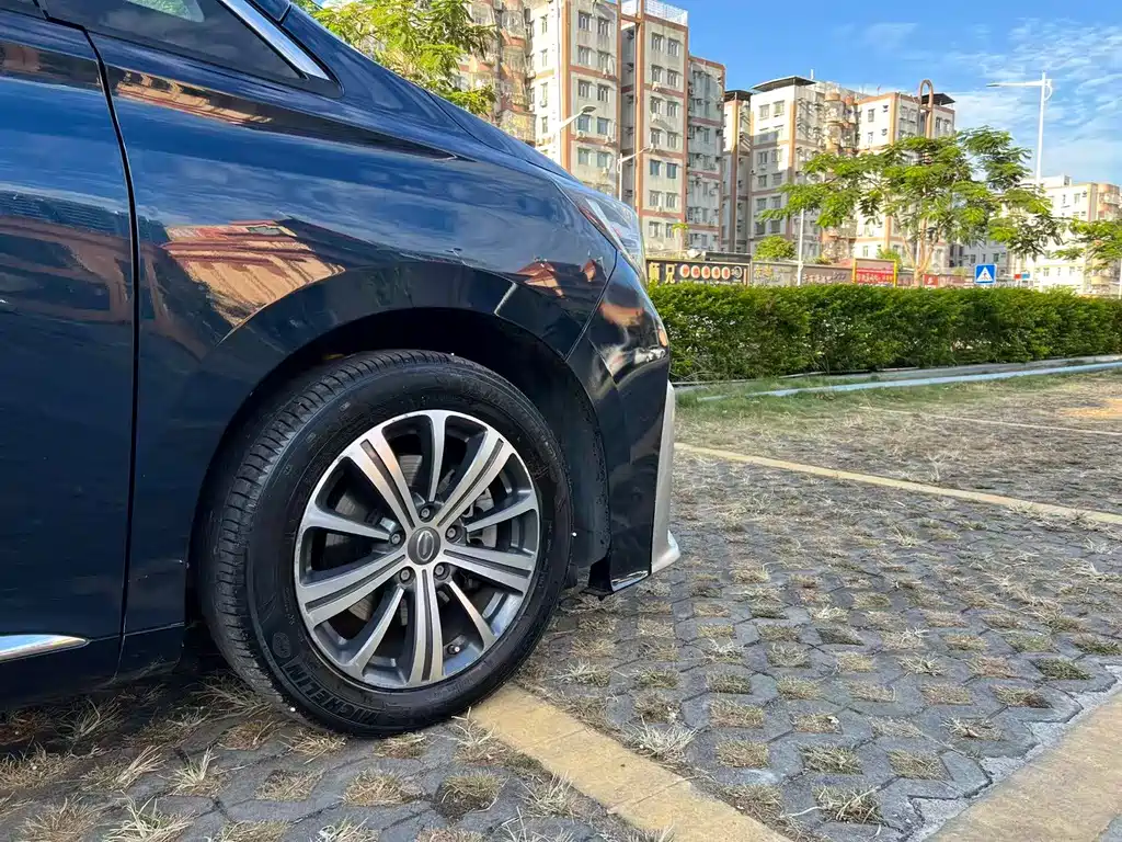 GAC Motor Trumpchi M8 2019 — фото 18